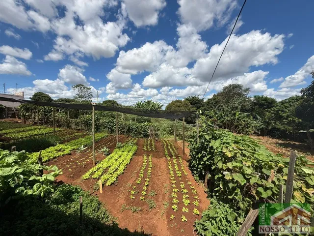 Imagem 5: SÍTIO À VENDA | BOA ESPERANÇA