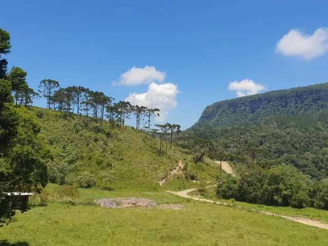 Imagem 2: SITIO RESIDENCIAL em Alfredo Wagner - SC, Lomba Alta