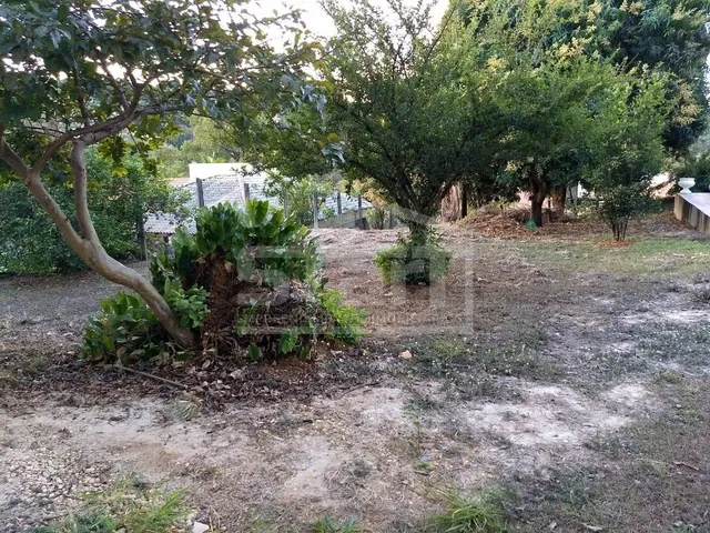 Imagem 8: Casa Condomínio Condados da Lagoa