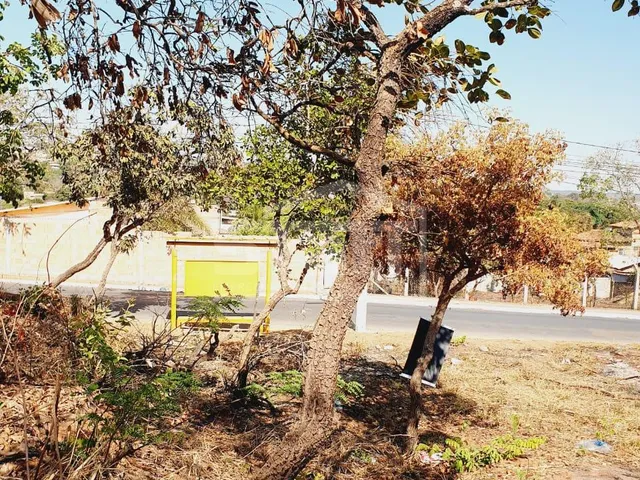 Imagem 14: Excelente Lote com 19 Metros de Frente, Localizado a 03 Quarteirões do Supermercado Bh
