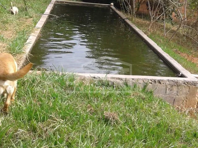 Imagem 5: Linda propriedade na divisa de Jaboticatubas com Lagoa Santa com 5.000 m