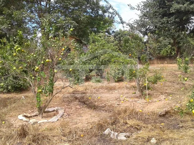 Imagem 8: Linda propriedade na divisa de Jaboticatubas com Lagoa Santa com 5.000 m