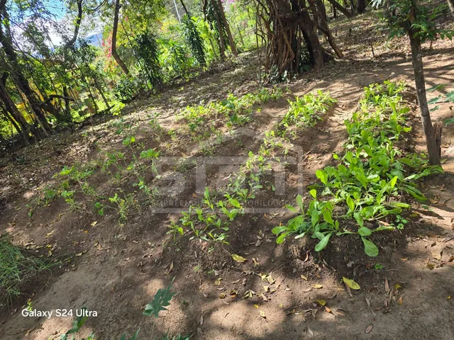 Imagem 5: Lindo Sítio em São José da Serra por R$720.000 - Aceita Permuta
