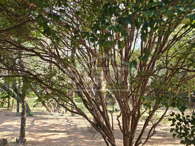 Imagem 6: Lindo Sítio em São José da Serra por R$720.000 - Aceita Permuta