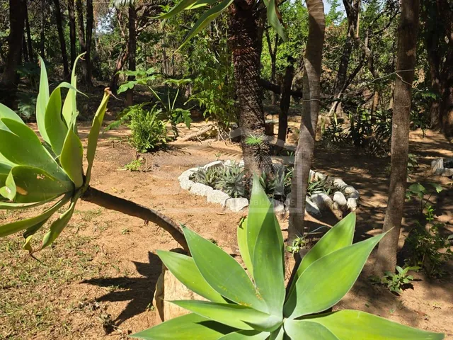 Imagem 8: Lindo Sítio em São José da Serra por R$720.000 - Aceita Permuta