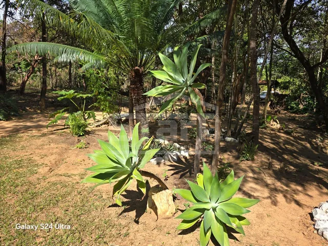 Imagem 11: Lindo Sítio em São José da Serra por R$720.000 - Aceita Permuta