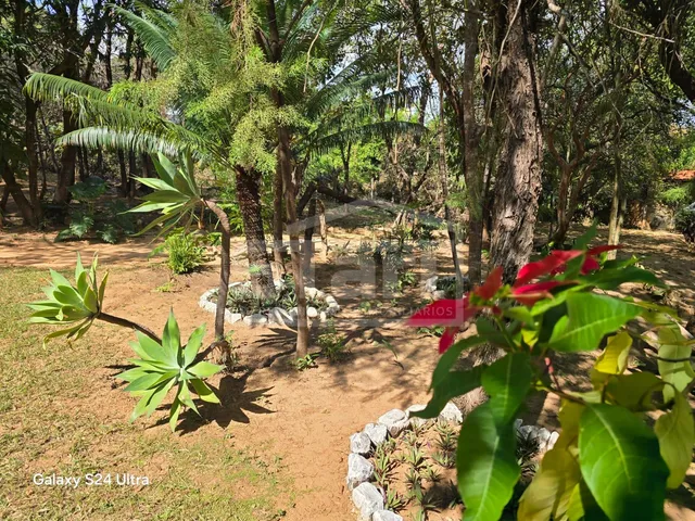 Imagem 14: Lindo Sítio em São José da Serra por R$720.000 - Aceita Permuta