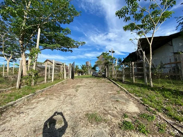 Imagem 1: VENDO ÁREA DOCUMENTADA COM 250 MIL M2 NA PISTA DA AM 010 - MANAUS - AM Á 15 MINUTOS DA