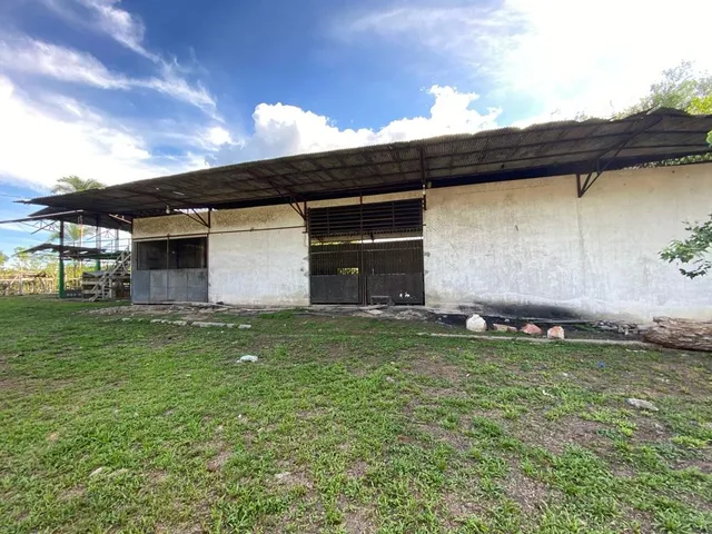Imagem 14: VENDO ÁREA DOCUMENTADA COM 250 MIL M2 NA PISTA DA AM 010 - MANAUS - AM Á 15 MINUTOS DA