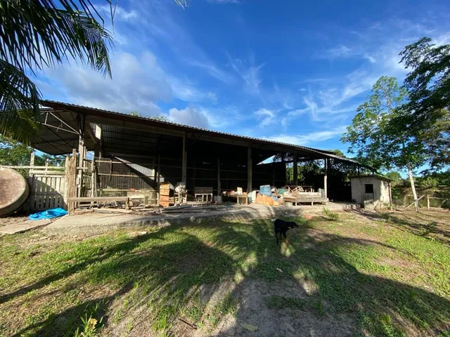 Imagem 2: VENDO ÁREA DOCUMENTADA COM 250 MIL M2 NA PISTA DA AM 010 - MANAUS - AM Á 15 MINUTOS DA