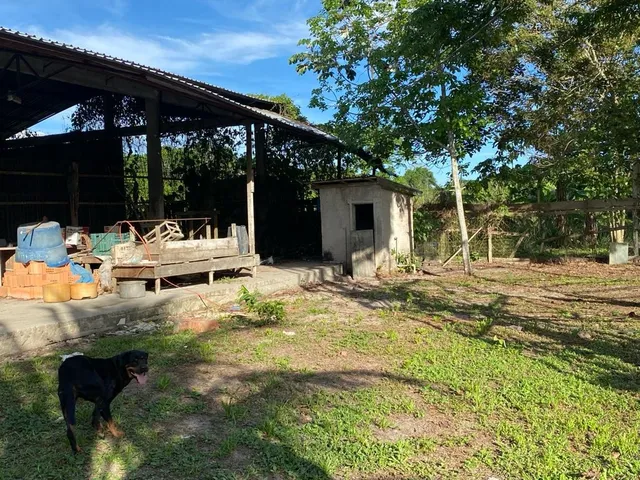 Imagem 11: VENDO ÁREA DOCUMENTADA COM 250 MIL M2 NA PISTA DA AM 010 - MANAUS - AM Á 15 MINUTOS DA