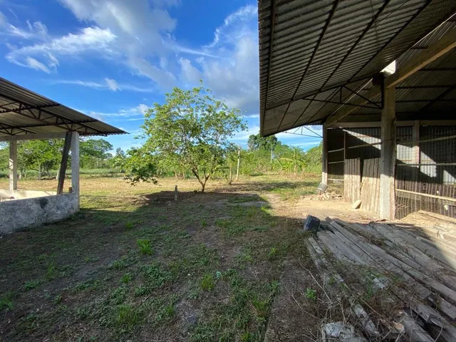 Imagem 8: VENDO ÁREA DOCUMENTADA COM 250 MIL M2 NA PISTA DA AM 010 - MANAUS - AM Á 15 MINUTOS DA