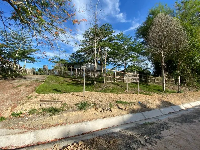 Imagem 10: VENDO ÁREA DOCUMENTADA COM 250 MIL M2 NA PISTA DA AM 010 - MANAUS - AM Á 15 MINUTOS DA