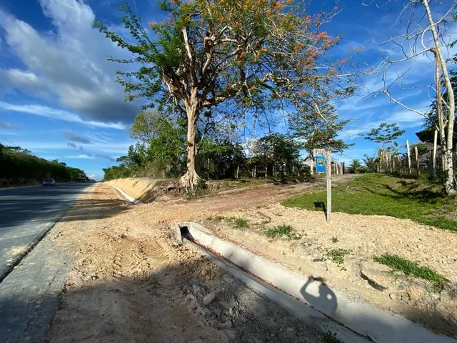 Imagem 3: VENDO ÁREA DOCUMENTADA COM 250 MIL M2 NA PISTA DA AM 010 - MANAUS - AM Á 15 MINUTOS DA