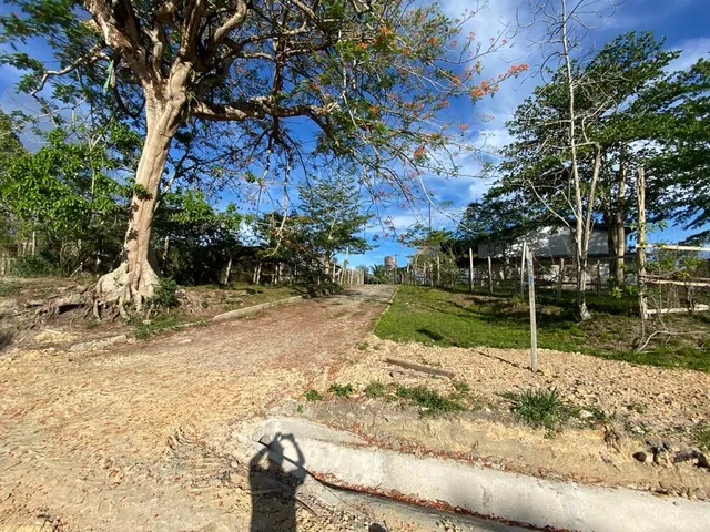 Imagem 13: VENDO ÁREA DOCUMENTADA COM 250 MIL M2 NA PISTA DA AM 010 - MANAUS - AM Á 15 MINUTOS DA