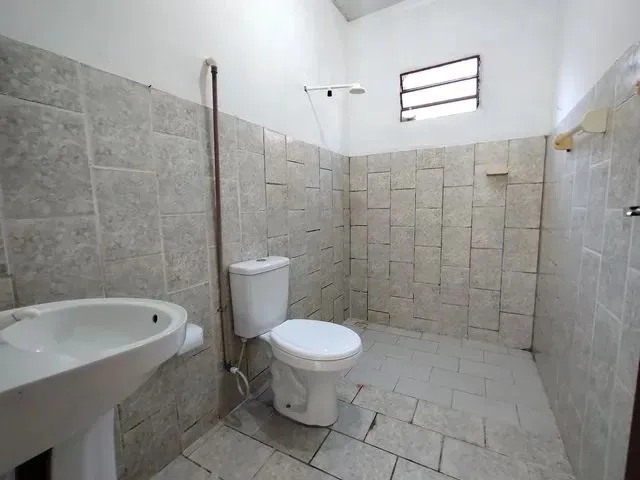 Imagem 4: Alugo Apartamento (Bairro Corado