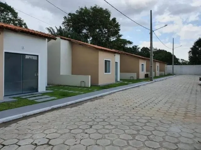Imagem: Jardim das Violetas