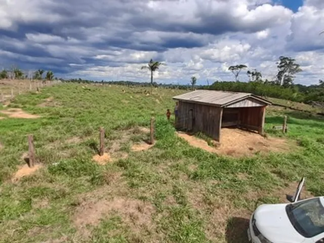 Imagem: Fazenda Linda Rondonia 45 Alqueires