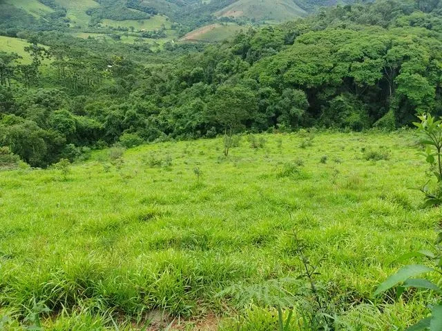 Imagem: Morada Donsossego
