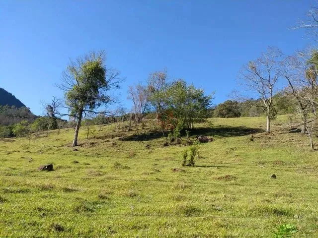 Imagem: Sítio em Canela!