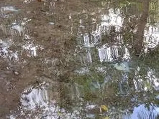 Imagem: Vende-Se Uma Propriedade