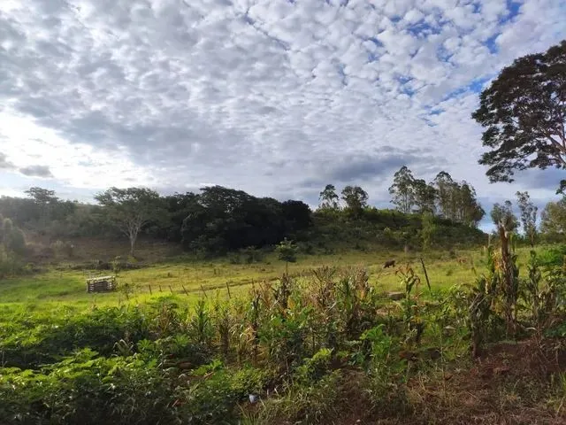 Imagem 2: Vendo Chácara Chácara com venda por R$680.000