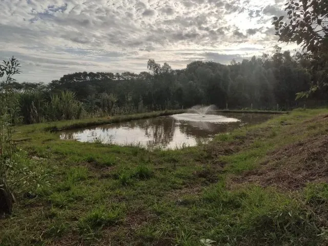Imagem 5: Vendo Chácara Chácara com venda por R$680.000