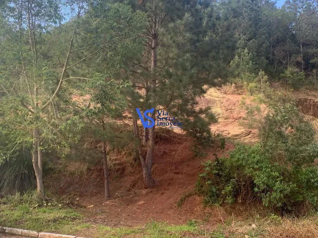 Imagem: Terreno no Bairro Sander, Três Coroas/Rs!