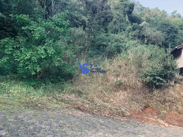 Imagem 2: Terreno no Sander, em Três Coroas/Rs!