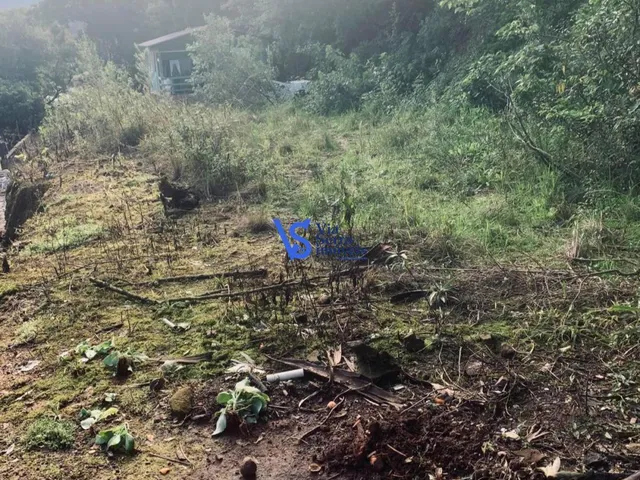 Imagem 5: Terreno no Sander, em Três Coroas/Rs!