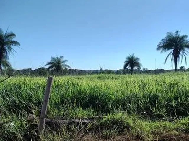 Imagem: Vendo Fazenda 661 Hectares