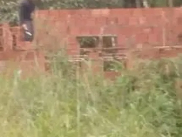 Imagem: Sitio em Cananeia em Formação