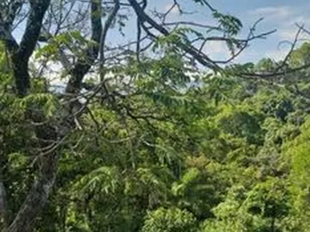 Imagem: Chacara no Bairro Jardin Rosario em Ibirite