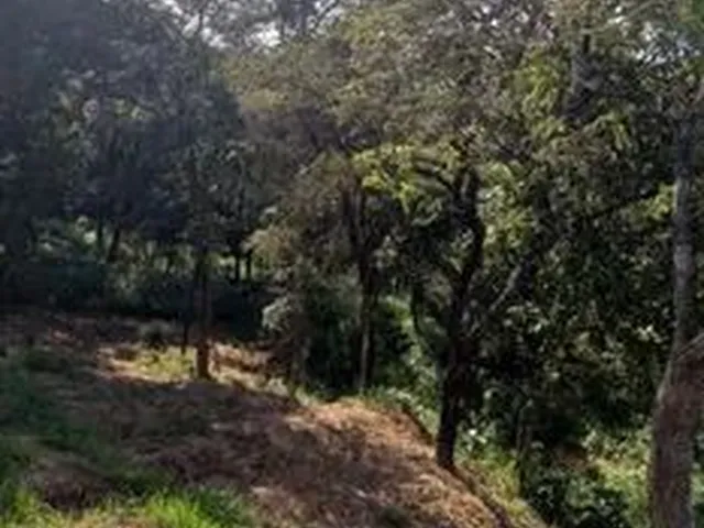 Imagem 6: Chacara no Bairro Jardin Rosario em Ibirite