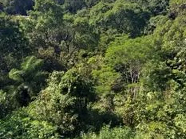 Imagem 4: Chacara no Bairro Jardin Rosario em Ibirite