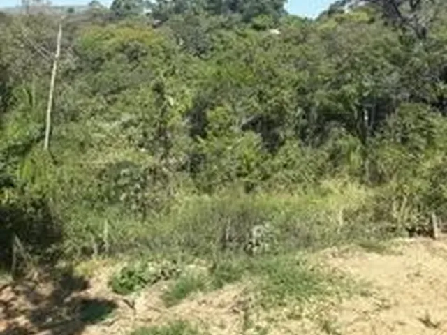 Imagem 3: Chacara no Bairro Jardin Rosario em Ibirite