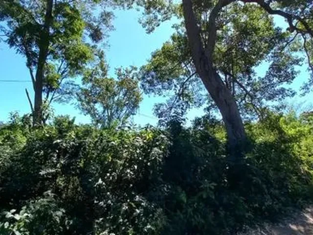 Imagem 6: Chácara no Barranco Alto 2