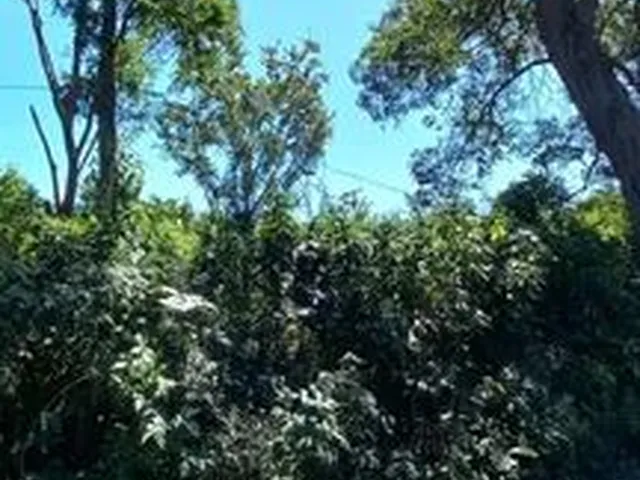 Imagem 5: Chácara no Barranco Alto 2