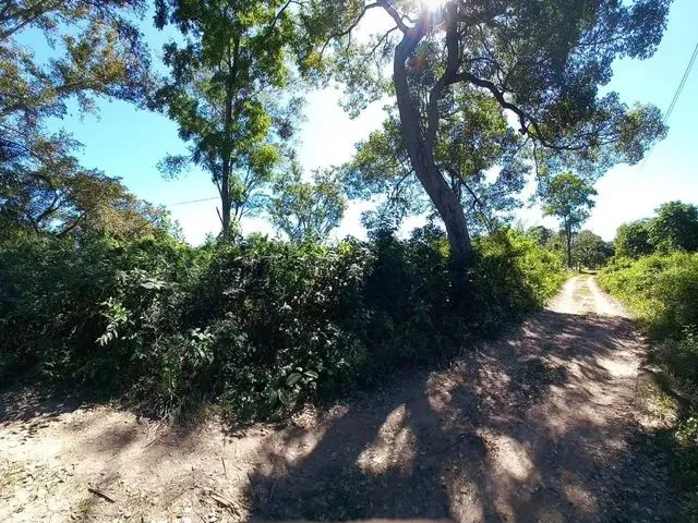Imagem 4: Chácara no Barranco Alto 2