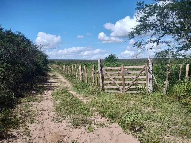 Imagem: 110 Tarefas em Água Fria