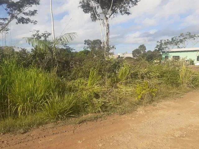 Imagem: Terreno no São José