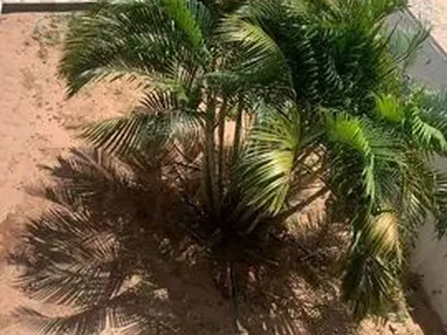Imagem: Casa Residencial