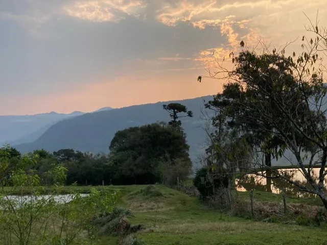 Imagem 2: Chácara de 06 hectares em Linha Temerária