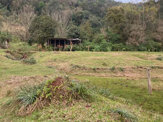 Imagem 3: Chácara de 06 hectares em Linha Temerária