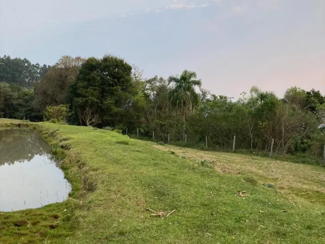 Imagem 4: Chácara de 06 hectares em Linha Temerária