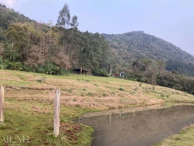 Imagem 5: Chácara de 06 hectares em Linha Temerária