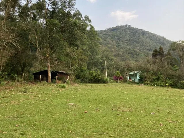 Imagem 7: Chácara de 06 hectares em Linha Temerária