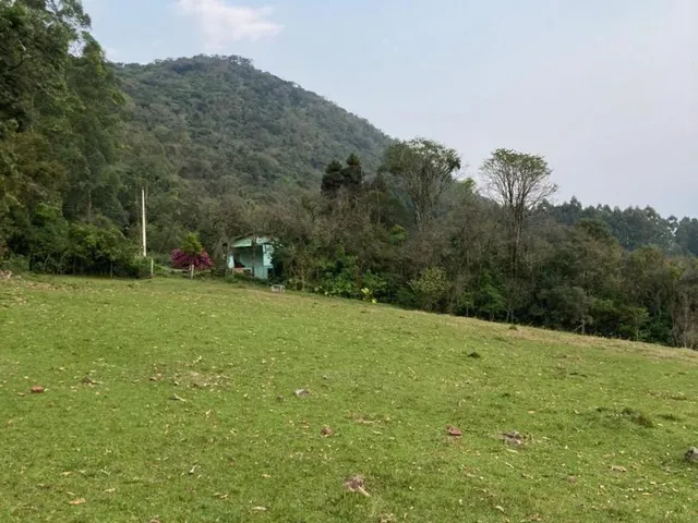 Imagem 9: Chácara de 06 hectares em Linha Temerária