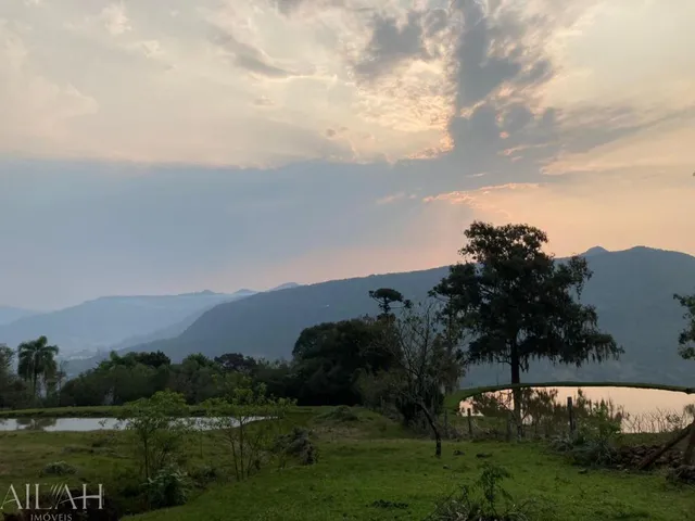 Imagem 10: Chácara de 06 hectares em Linha Temerária