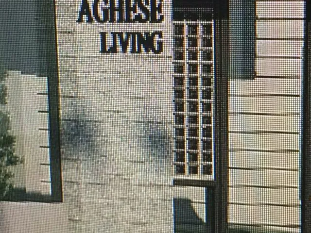 Imagem 1: Studio Aghese Living